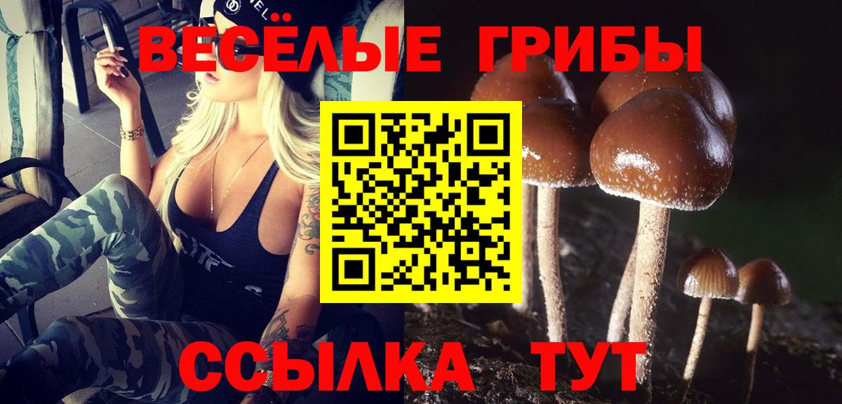 Галлюциногенные грибы MAGIC MUSHROOMS Зеленодольск