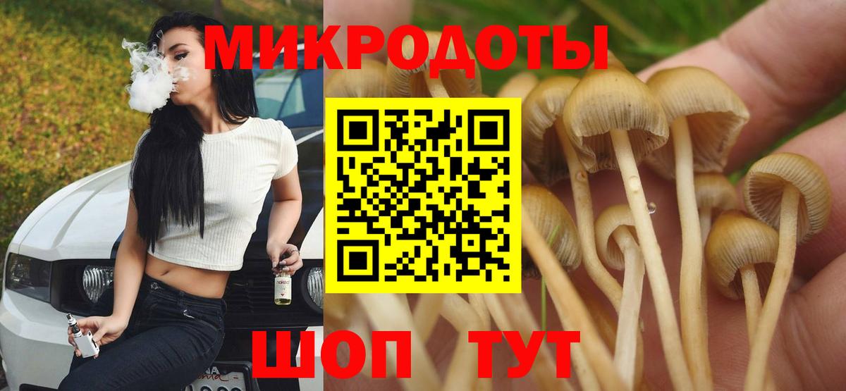Зеленодольск  Галлюциногенные грибы прущие грибы  Галлюциногенные грибы мухоморы  Вход с VPN 
